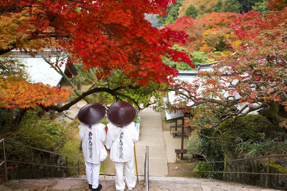 Two pilgrims in white garments and conical hats standing on temple steps, surrounded by vibrant red and orange maple leaves.