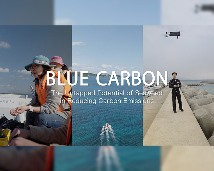 BLUE CARBON - The Untapped Potential of Seaweed in Reducing Carbon Emissions