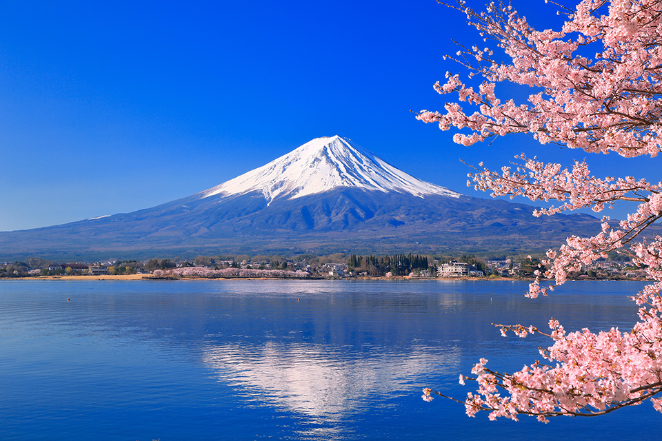 Seasonal Beauty in Japan | The Government of Japan - JapanGov -