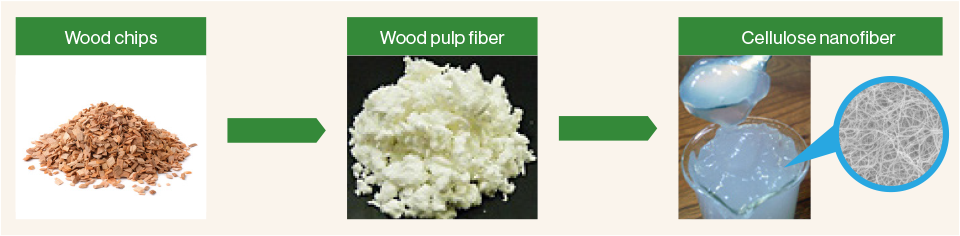 To produce CNF, pulp fibers are extracted from wood and are then micro-refined to the nano-level.