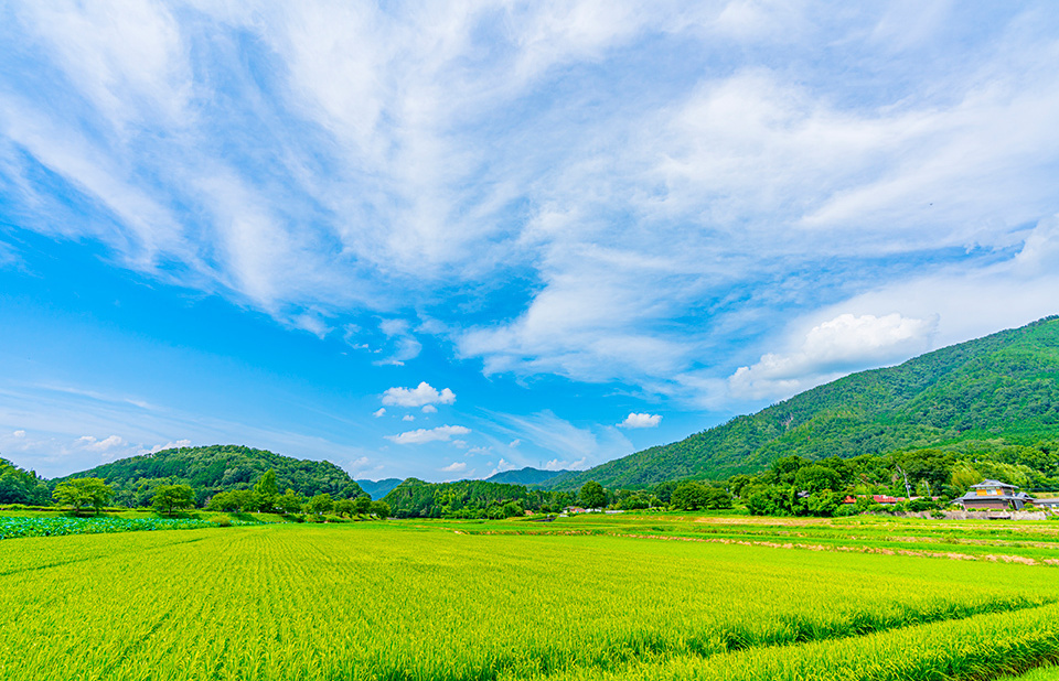 By putting into practice innovations that reduce the environmental impact of agriculture, Japan will create a leading model for sustainable food systems in the Asian monsoon region.