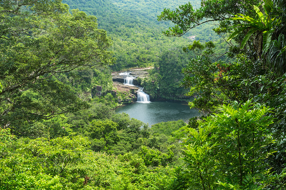 Iriomote Island has incredible undulating terrain. The many forest waterfalls of varying size create impressive scenery.