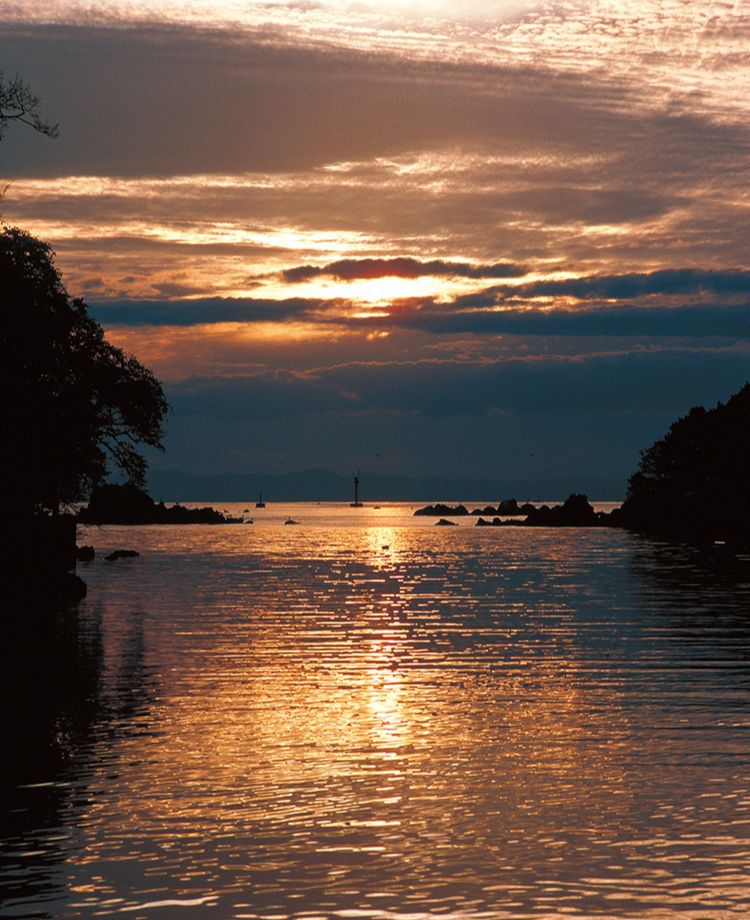 Power Assist Suits reduced back stress and helped officials pick up shots at shot-put venues, while also aiding personnel in the exchange of weight plates during powerlifting competitions. TOKYO 2020