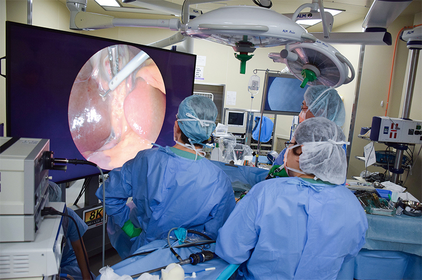 Scene from an actual surgery using the 8K endoscope on a human patient. The images produced are more detailed than those visible to the naked eye. With multiple doctors and medical staff being able to watch the operation at the same time, they can undertake more difficult surgeries and share the knowledge and experience gained.