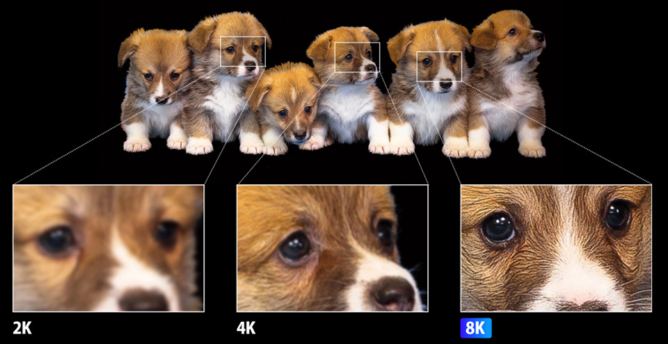 An 8K image features many more pixels than the commonly used 2K image, allowing even the smallest details of the subject to be seen clearly.