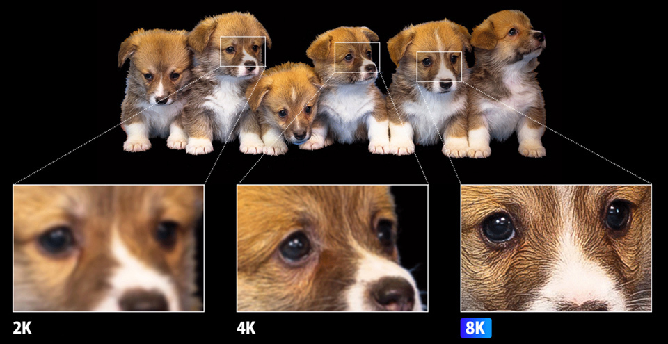 8K 画像は、一般的に使用されている 2K 画像よりも多くのピクセルを備えているため、被写体の細部まで鮮明に見ることができます。