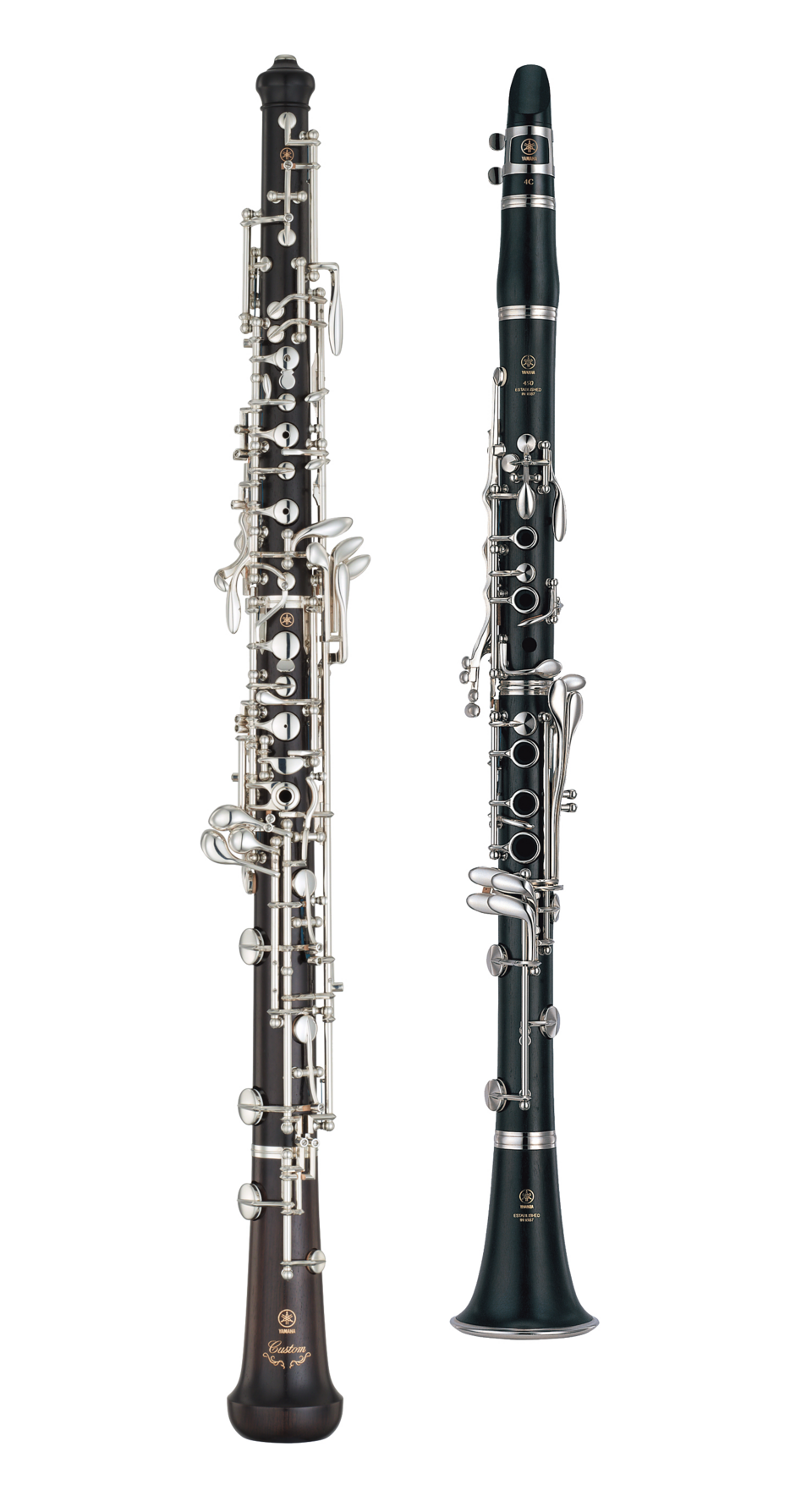 The clarinet (right) and the oboe (left) are typical instruments made from African blackwood. As one would expect from the wood’s name, the instruments’ pipe-shaped bodies have a black hue.