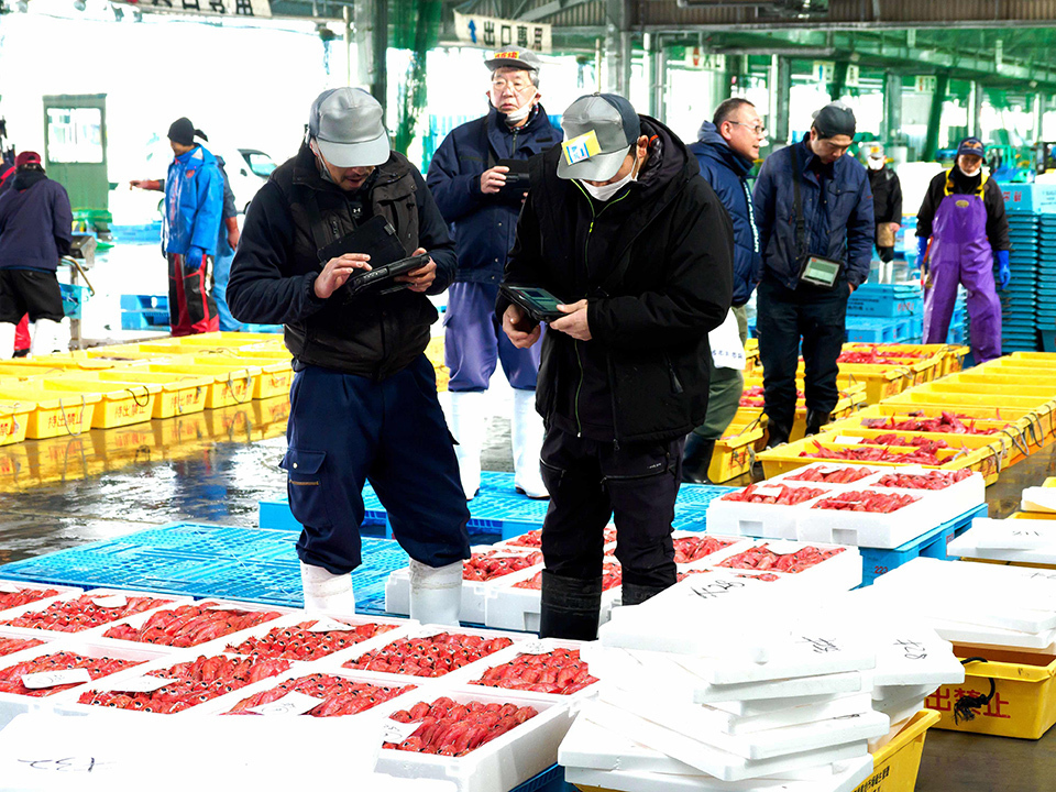 Seafood brokers gather to place bids at Miyako's fish market.