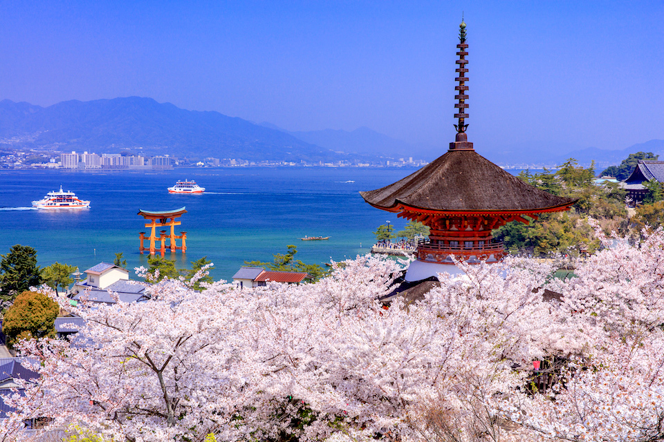 Miyajima, a top tourist destination in Hiroshima Prefecture, with cherry blossom. MOPHOTOS/AFLO