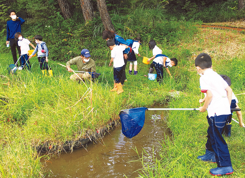 Students enjoying insect collecting at Jinseki International School (JINIS). JINIS