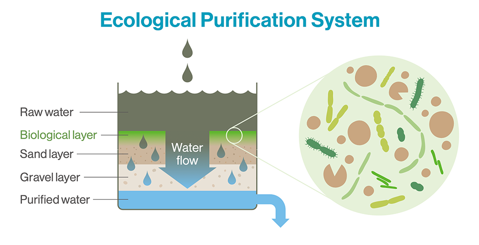 Utilizing Microorganisms to Purify Water and Enhance Public Health ...