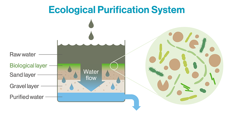 An image for the Ecological Water Purification System.