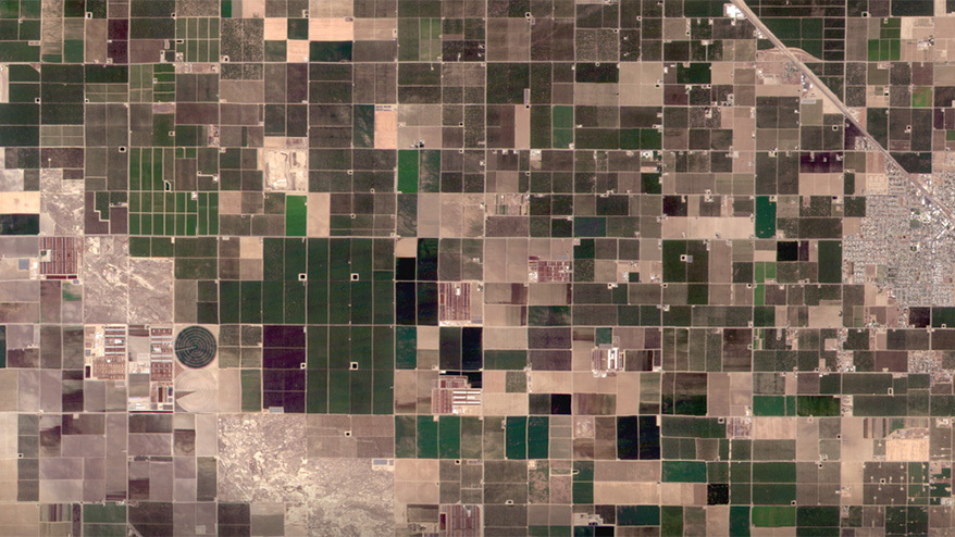 A satellite image taken by GRUS satellite showing plants' distribution area in the US like a mosaic.