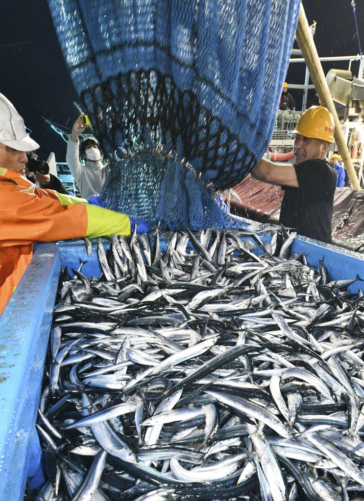 The EU lifted the import restrictions for Japanese food products. Fukushima-produced persimmons and Pacific saury now no longer need pre-export testing for radioactivity.  KYODO NEWS VIA GETTY IMAGES