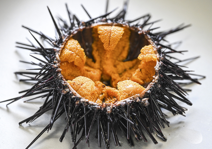 A split sea urchin, filled with plump roe.