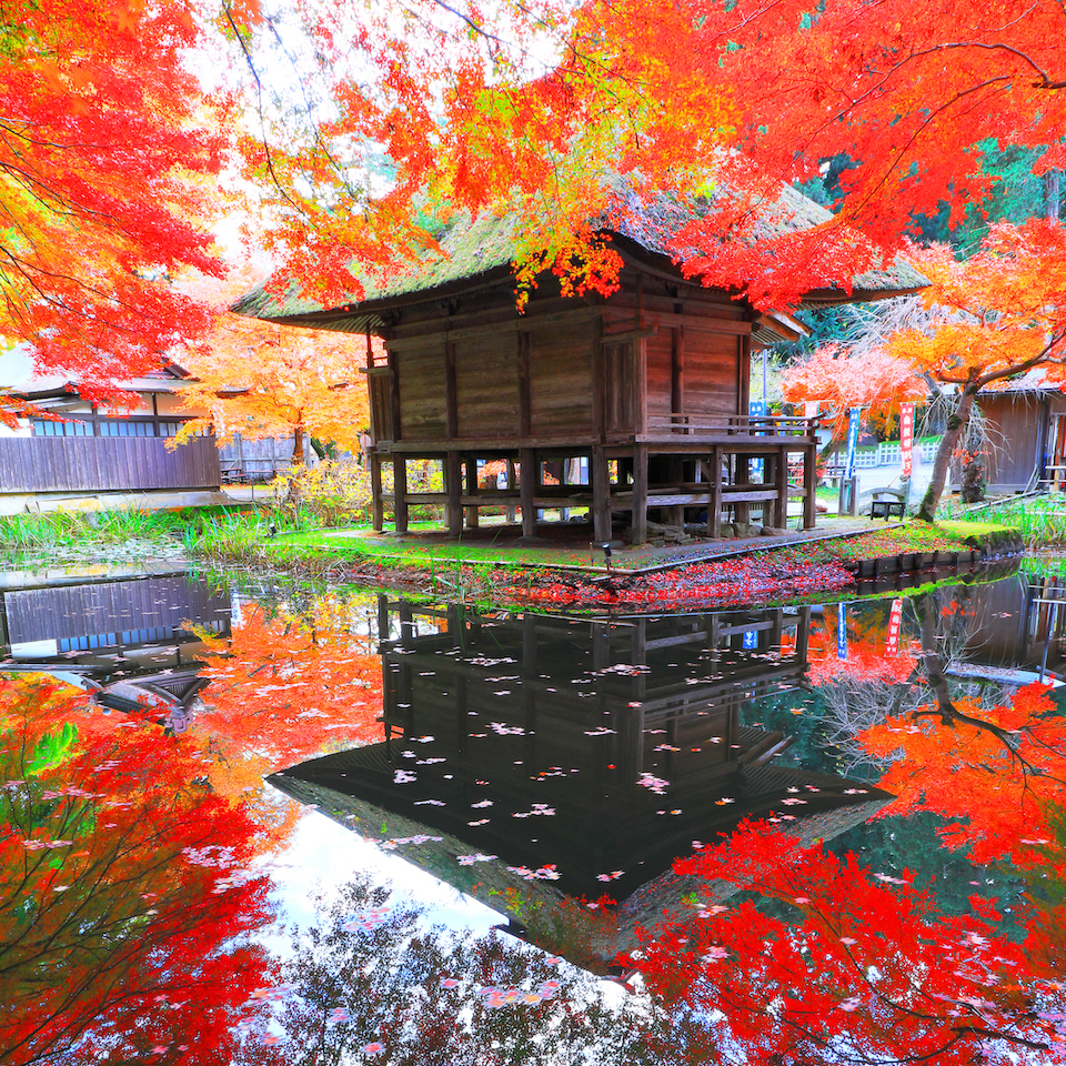 Serene pond with a small structure in the center, surrounded by vivid red maple trees reflected in the mirror-like water.