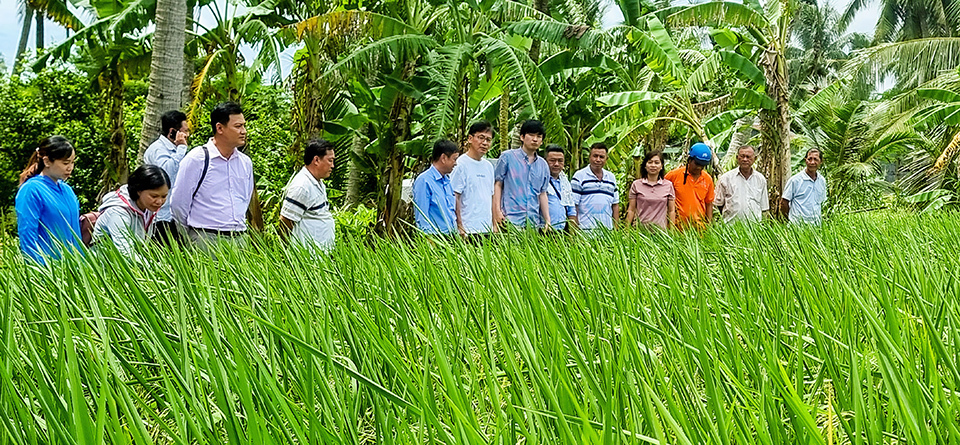 A group of people conducting surveys on a farmland in Vietnam as part of Sagri’s project.