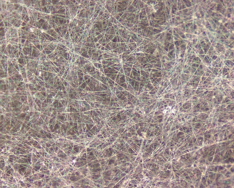Magnified image of a MINOLON sheet, made from overlapping white bagworm fibers
