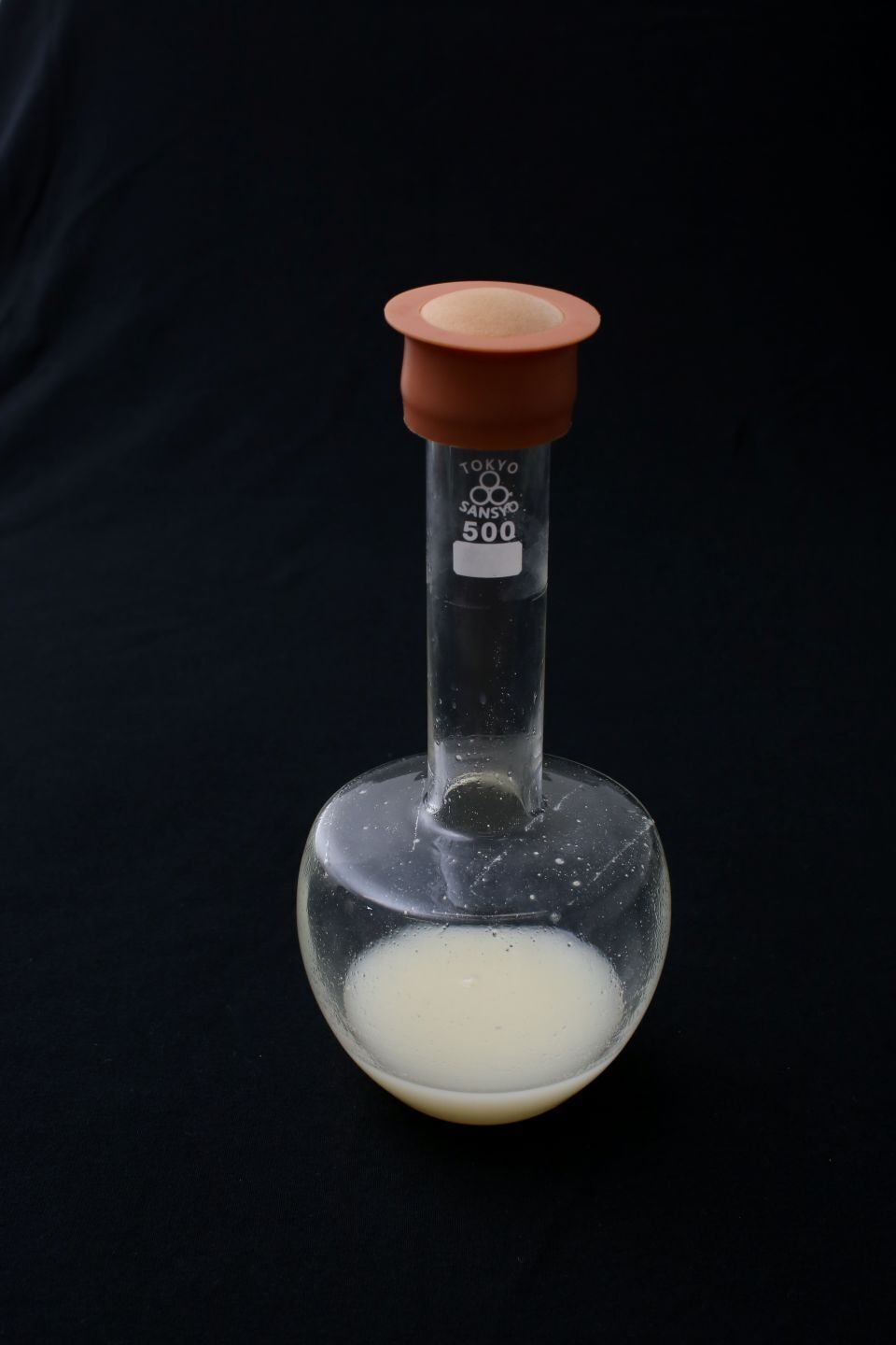 A small glass flask for hydrogen-oxidizing bacteria cultivation
