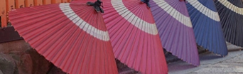 Highlighting JAPAN