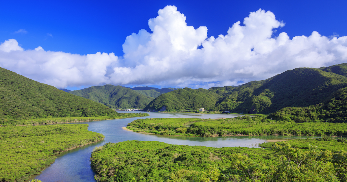 Natural History Development in Japan an… Natural History Development in Japan and Its Future