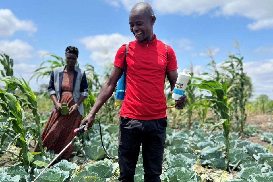 A farmer in Zambia spraying a cabbage patch with plant activator.