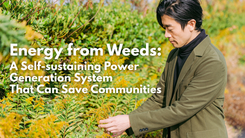 Energy from Weeds: A Self-sustaining Power Generation System That Can Save Communities