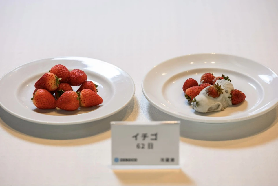 Two plates of strawberries. The berries on the right were stored using regular refridgeration and rotted, while those on the left are still pristine after being stored in a ZEROCO facility.