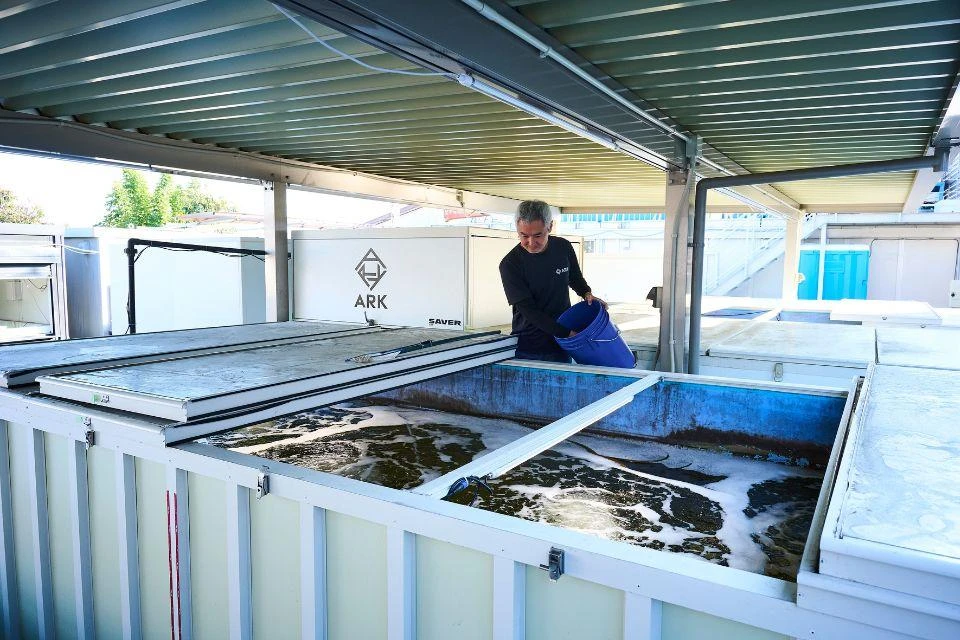 A man peering into the Ark Zero, a compact land-based aquaculture system