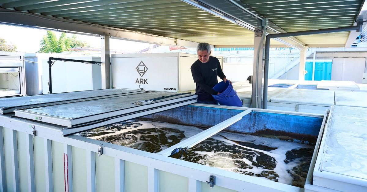 Onto Dry Land: Providing a Total RAS Aquaculture Package | The Government of Japan - JapanGov -
