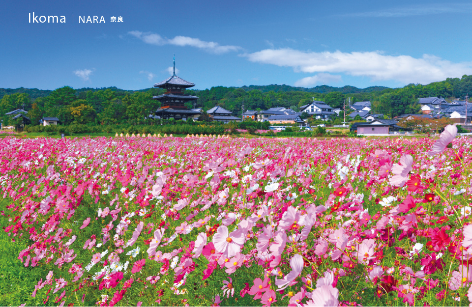 Ikoma | NARA 奈良