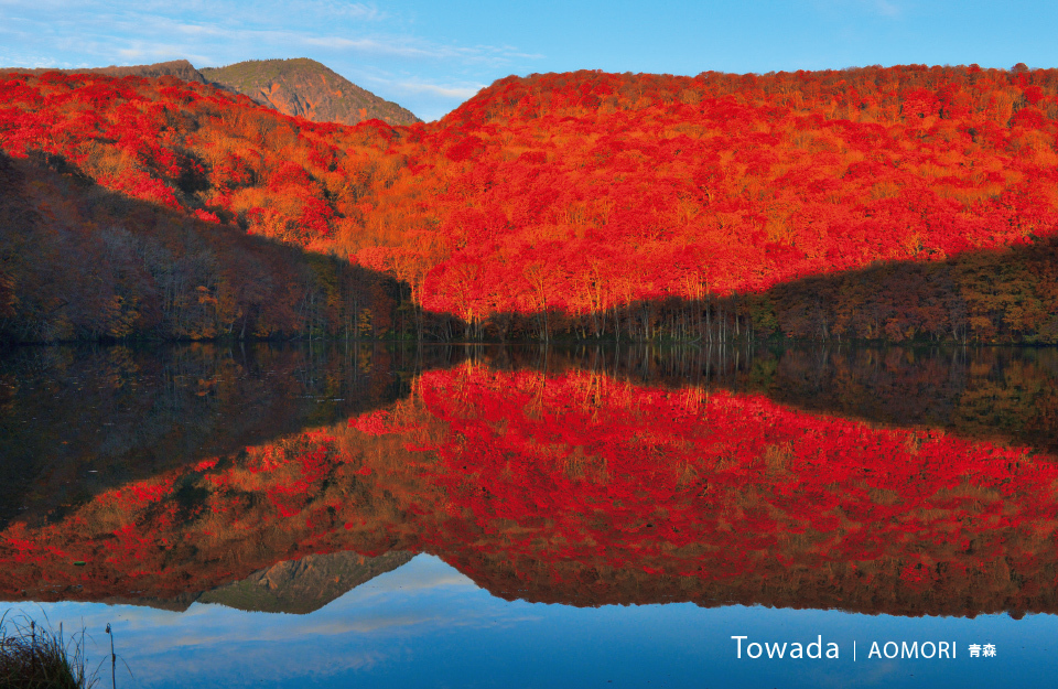 Towada | AOMORI 青森