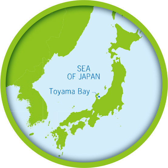 The Sea of Japan is almost completely enclosed by the coastlines of the surrounding nations.