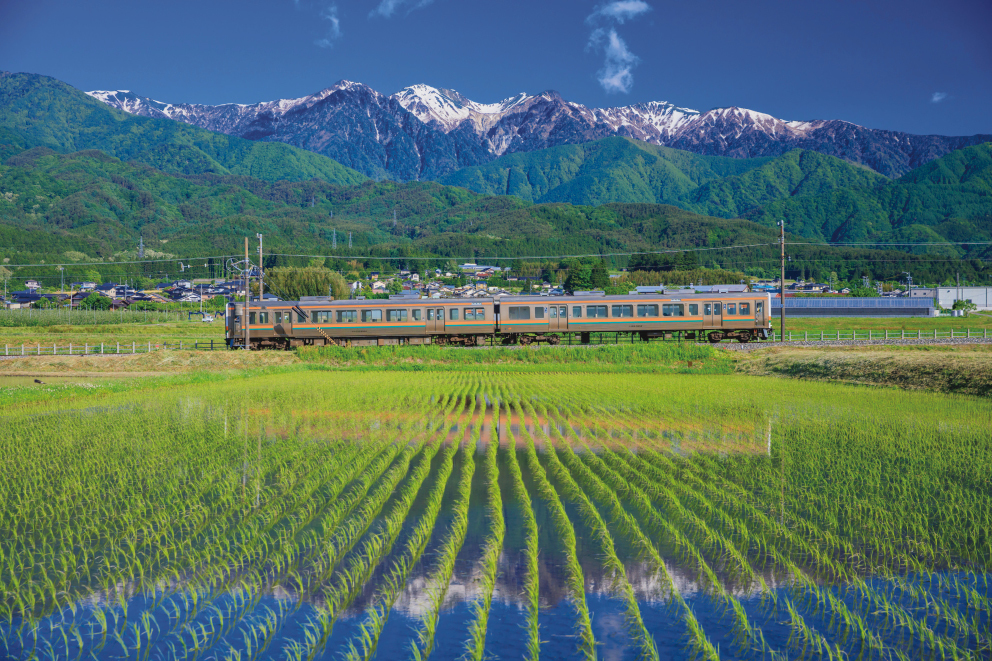 A local train line offering an eclectic journey