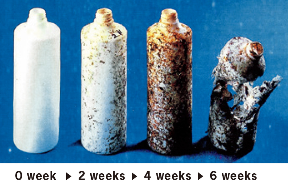 State of biodegradation under composting conditions for two, four and six weeks.