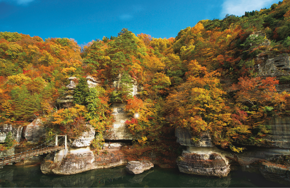 White rock faces speckled with autumn leaves