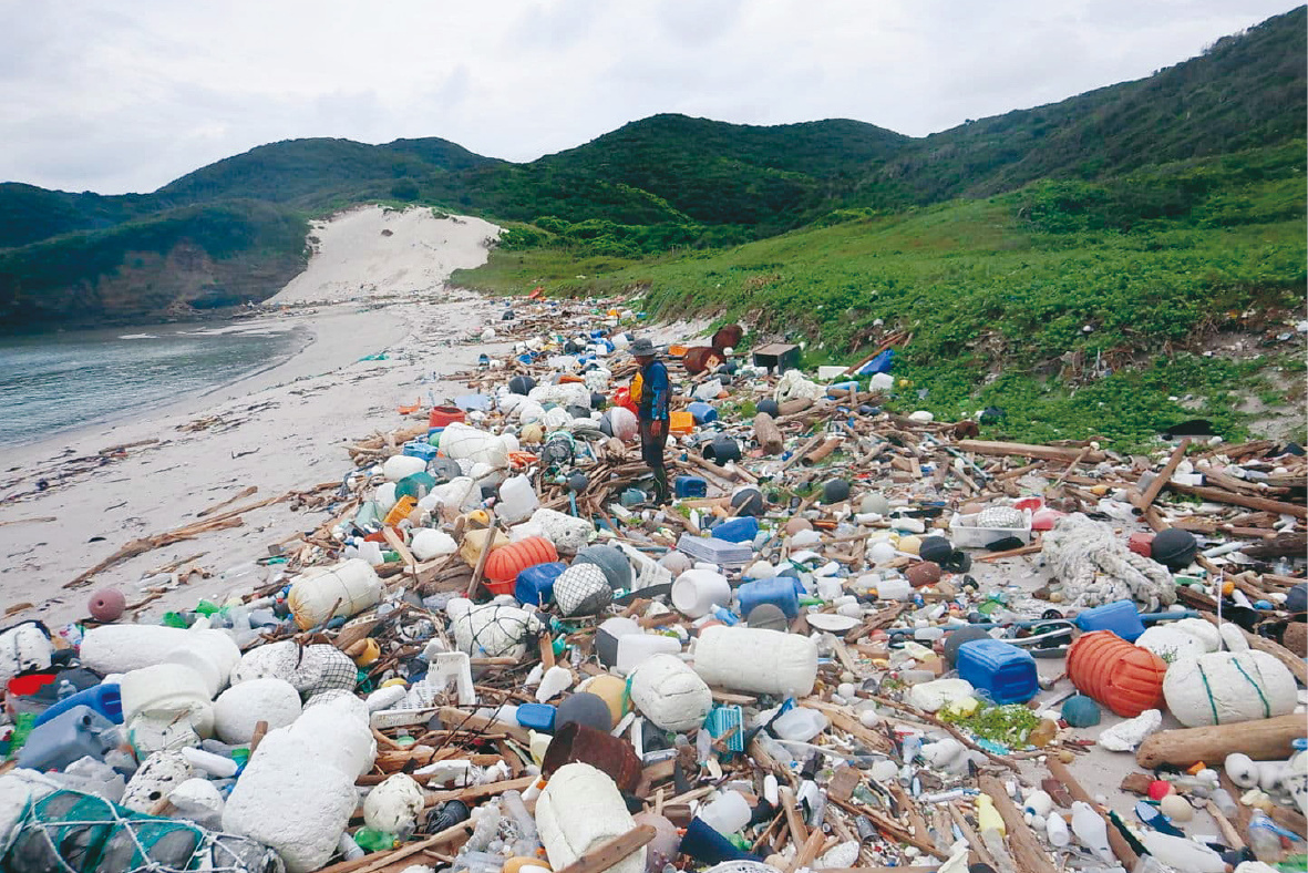 Tsushima Current