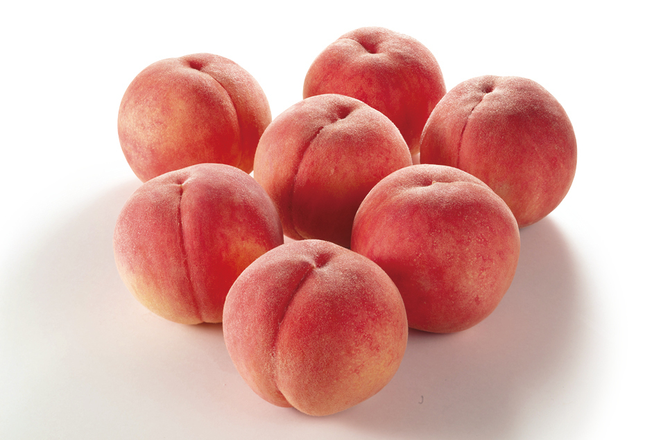 The Akatsuki variety of peach from Fukushima Prefecture. Because the fruits are picked with the aid of light sensors the peaches can be exported with a high sugar content yet retain their firm texture.