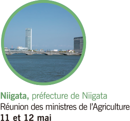 Niigata, Niigata Prefecture