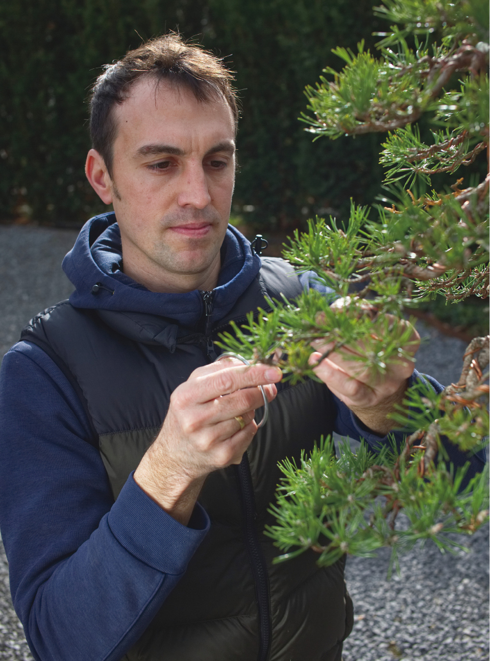 “Pruning shears are the soul of the bonsai artist,” says Brose, attentively trimming a well-matured scots pine bonsai.