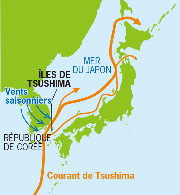 Dr. Ibrahim Assane Mayaki