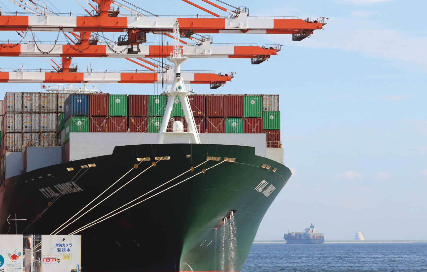 Trade expansion is expected to occur as a result of tariff reduction and elimination, and through the development of common rules.