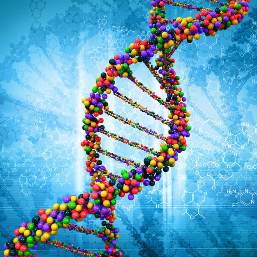 Even in patients with the same type of cancer, the effectiveness of drugs and the side effects they produce can differ depending on slight differences in the base sequence of the cancer’s genomes.