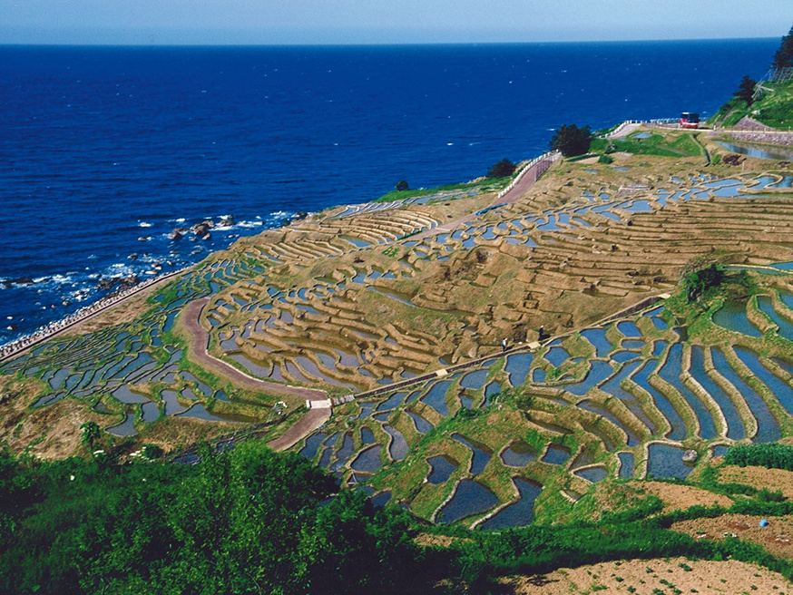 Shiroyone Senmaida in Wajima