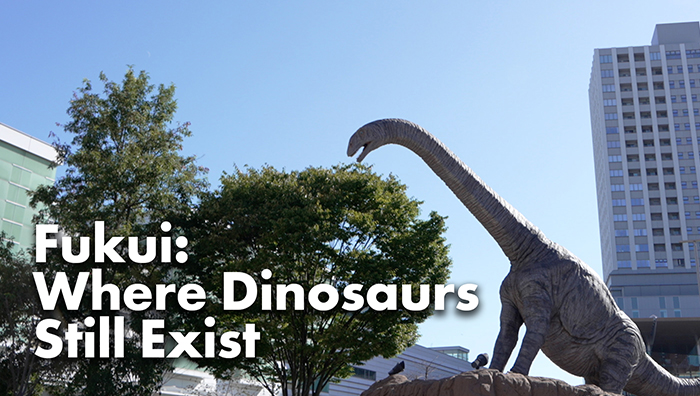 Fukui: Where Dinosaurs Still Exist